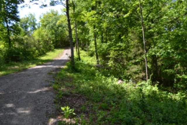 0 Beauchamp Road Burkesville, KY 42717 - Photo 19 of 43