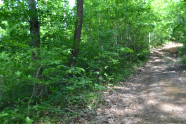 0 Beauchamp Road Burkesville, KY 42717 - Photo 20 of 43