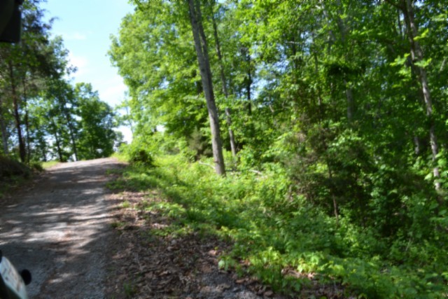 0 Beauchamp Road Burkesville, KY 42717 - Photo 21 of 43