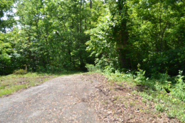 0 Beauchamp Road Burkesville, KY 42717 - Photo 22 of 43