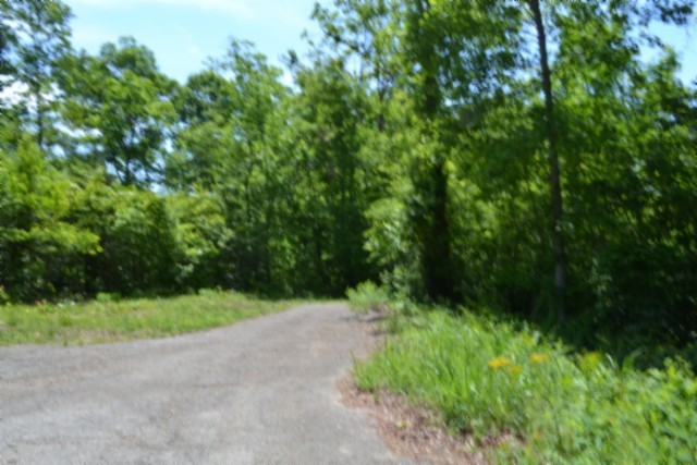 0 Beauchamp Road Burkesville, KY 42717 - Photo 23 of 43