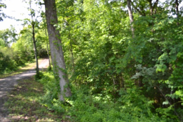 0 Beauchamp Road Burkesville, KY 42717 - Photo 27 of 43