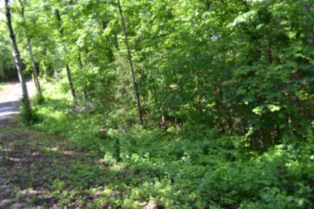 0 Beauchamp Road Burkesville, KY 42717 - Photo 28 of 43