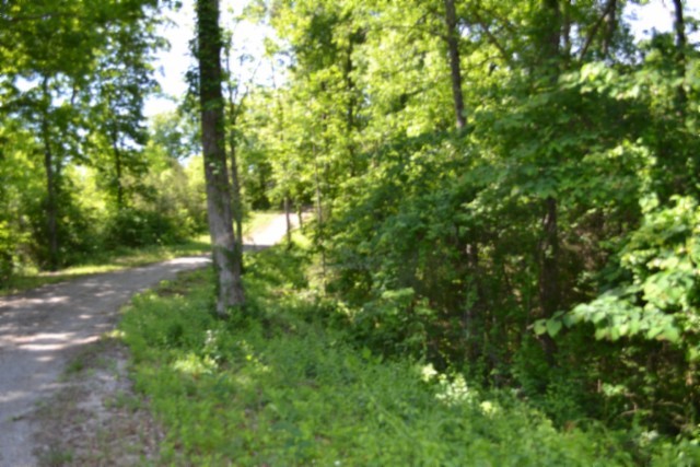 0 Beauchamp Road Burkesville, KY 42717 - Photo 3 of 43