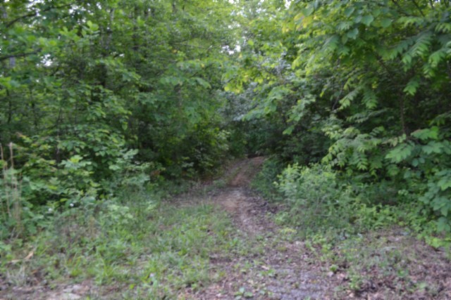 0 Beauchamp Road Burkesville, KY 42717 - Photo 32 of 43