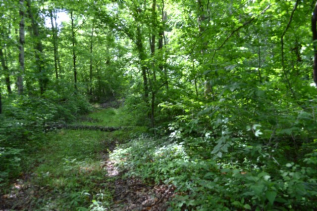 0 Beauchamp Road Burkesville, KY 42717 - Photo 35 of 43