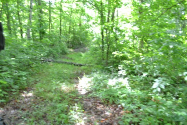 0 Beauchamp Road Burkesville, KY 42717 - Photo 36 of 43