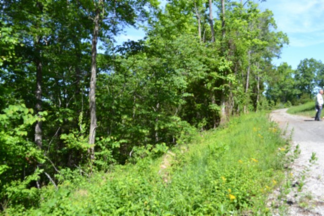 0 Beauchamp Road Burkesville, KY 42717 - Photo 4 of 43