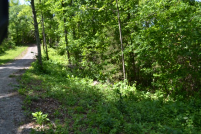 0 Beauchamp Road Burkesville, KY 42717 - Photo 5 of 43