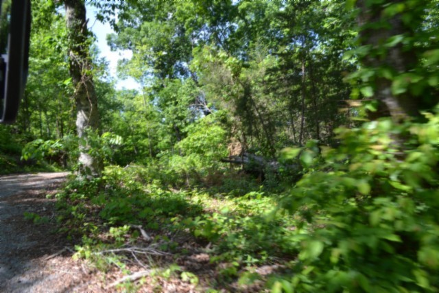 0 Beauchamp Road Burkesville, KY 42717 - Photo 10 of 43