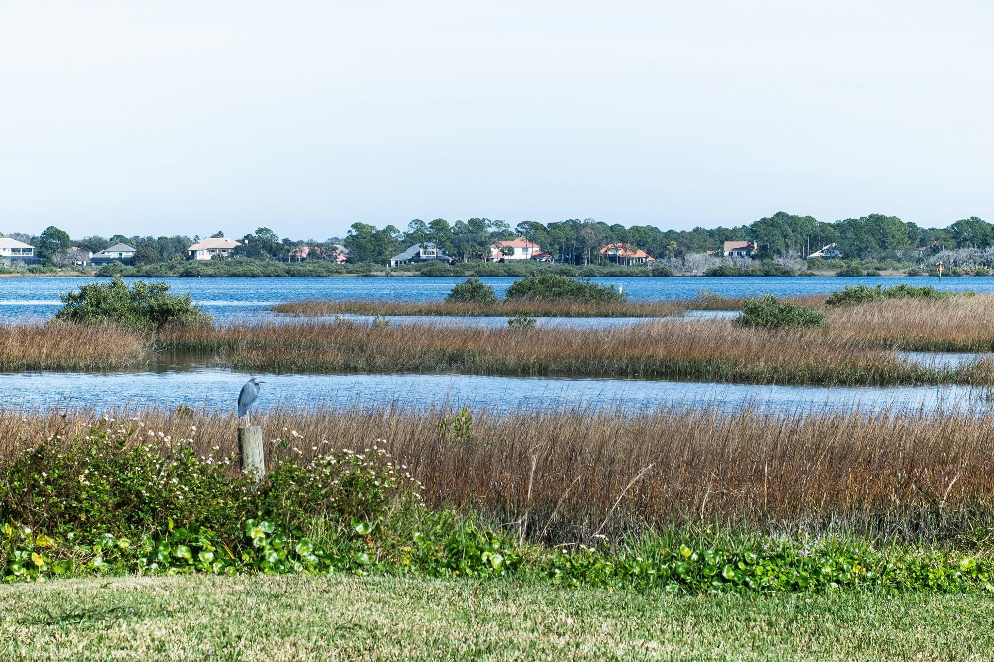 414 Jasmine Road St. Augustine, FL 32086 - Photo 26 of 30 Gallery Image 26
