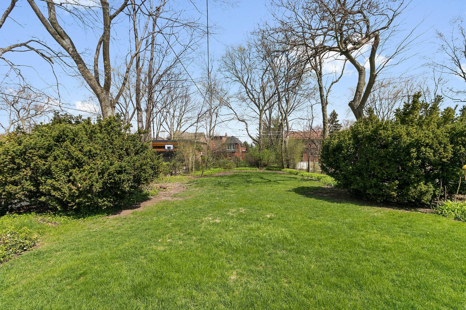 294 Shenstone Road Riverside, IL 60546 - Photo 18 of 29 a view of a backyard with large trees