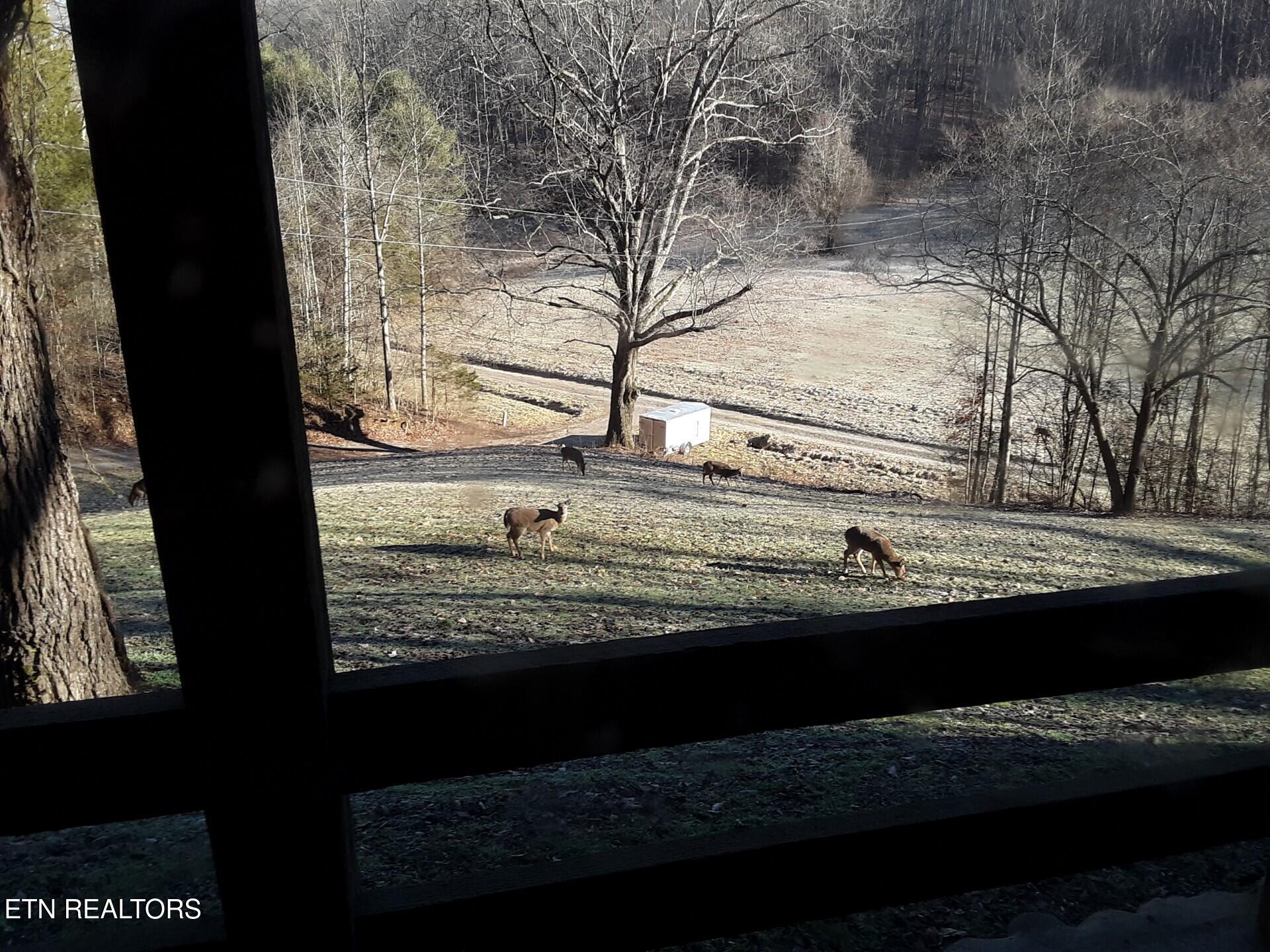 788 Dooley Hollow Road Ewing, VA 24248 - Photo 31 of 46 Attachment