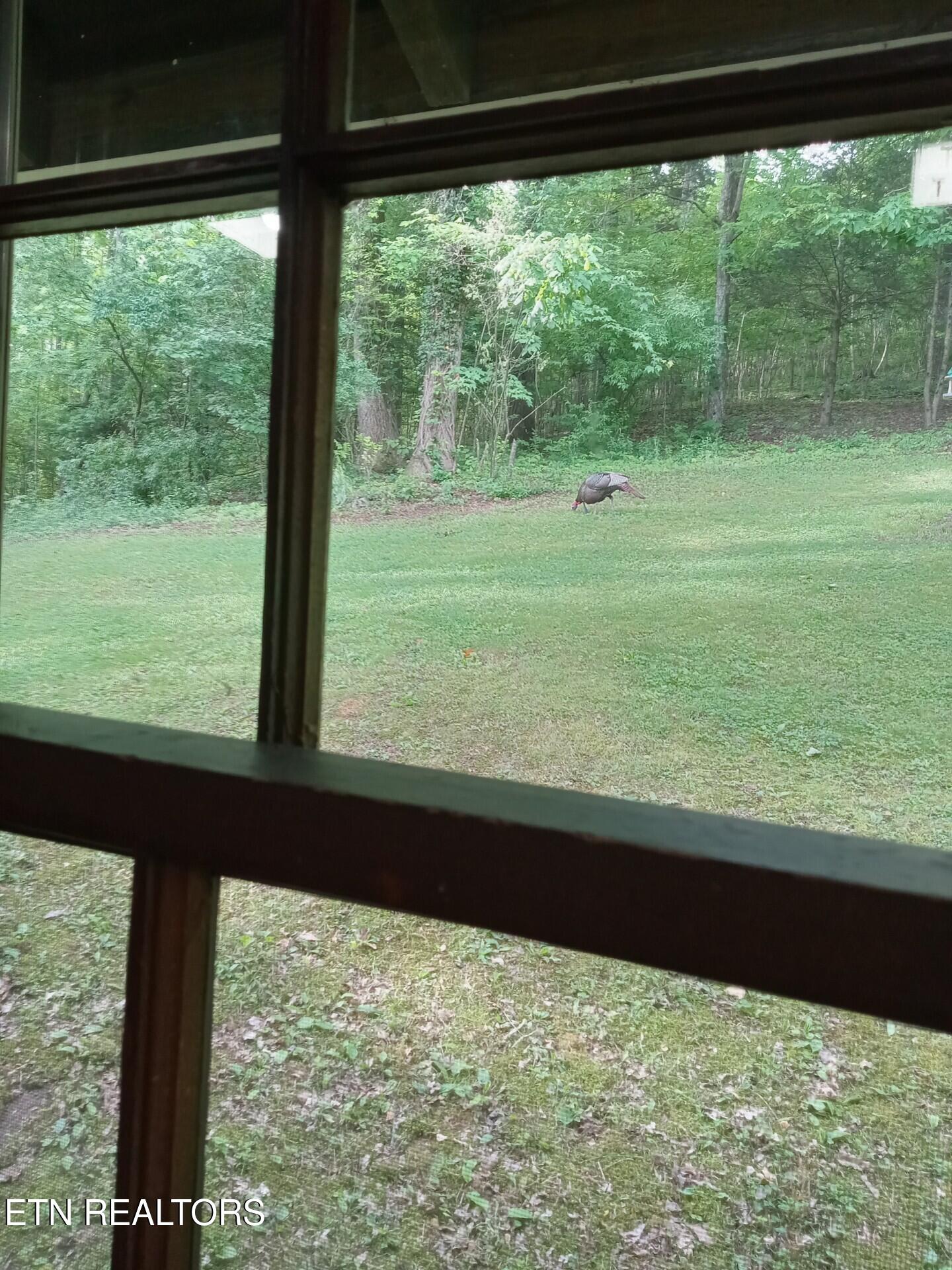 788 Dooley Hollow Road Ewing, VA 24248 - Photo 33 of 46 Attachment