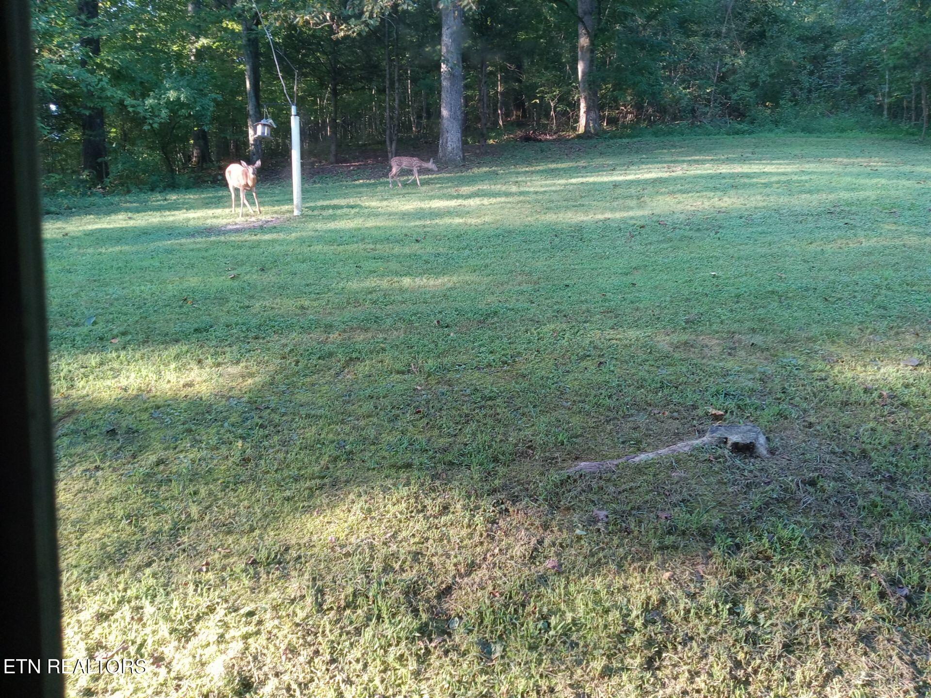 788 Dooley Hollow Road Ewing, VA 24248 - Photo 34 of 46 Attachment