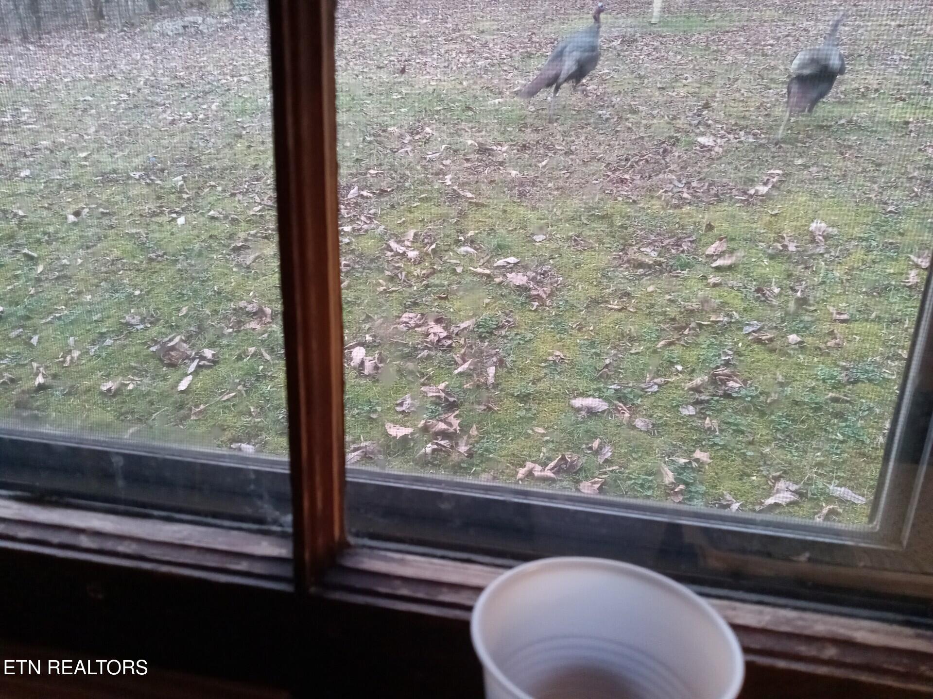 788 Dooley Hollow Road Ewing, VA 24248 - Photo 35 of 46 Attachment