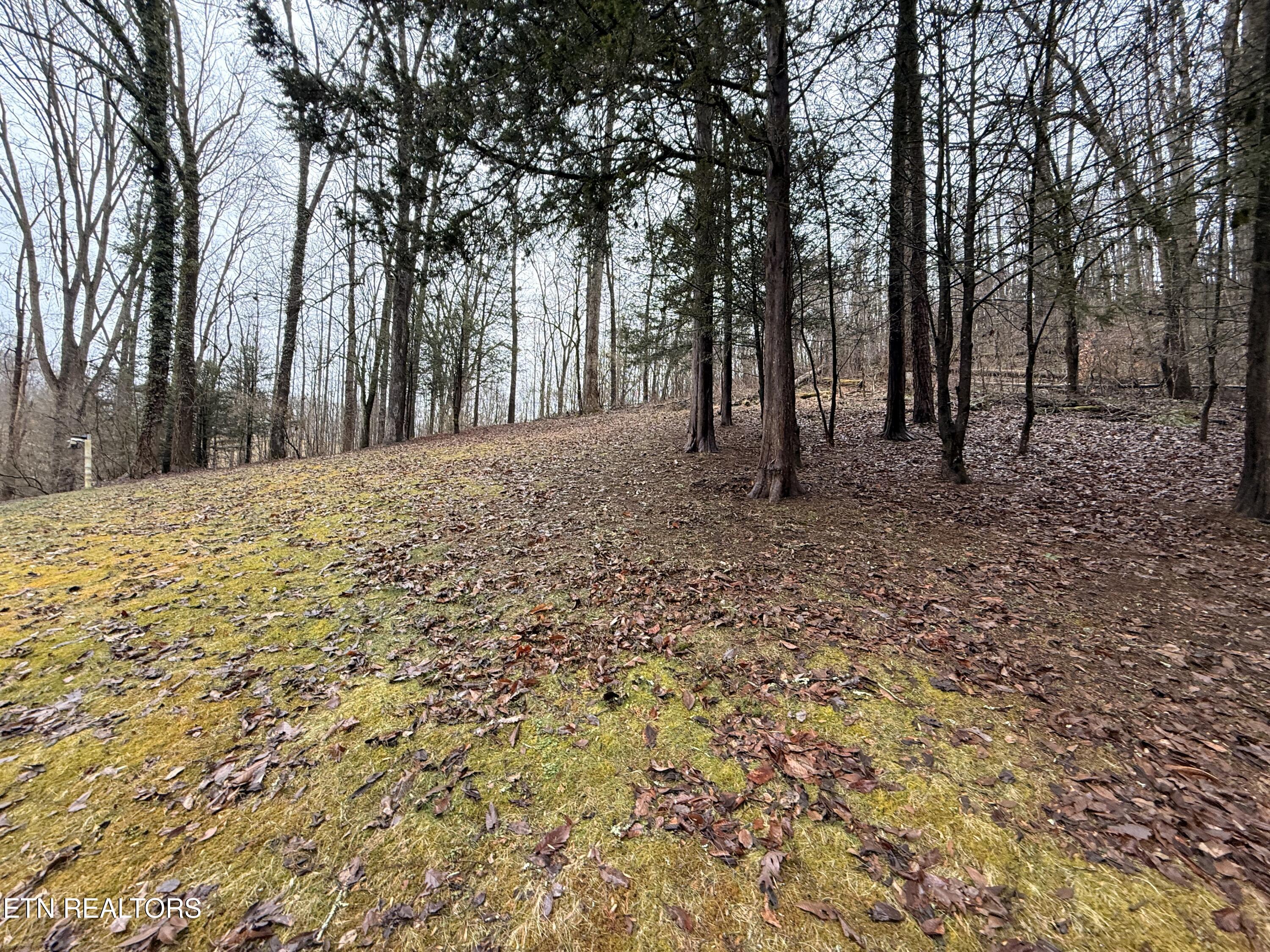 788 Dooley Hollow Road Ewing, VA 24248 - Photo 40 of 46 IMG_6412