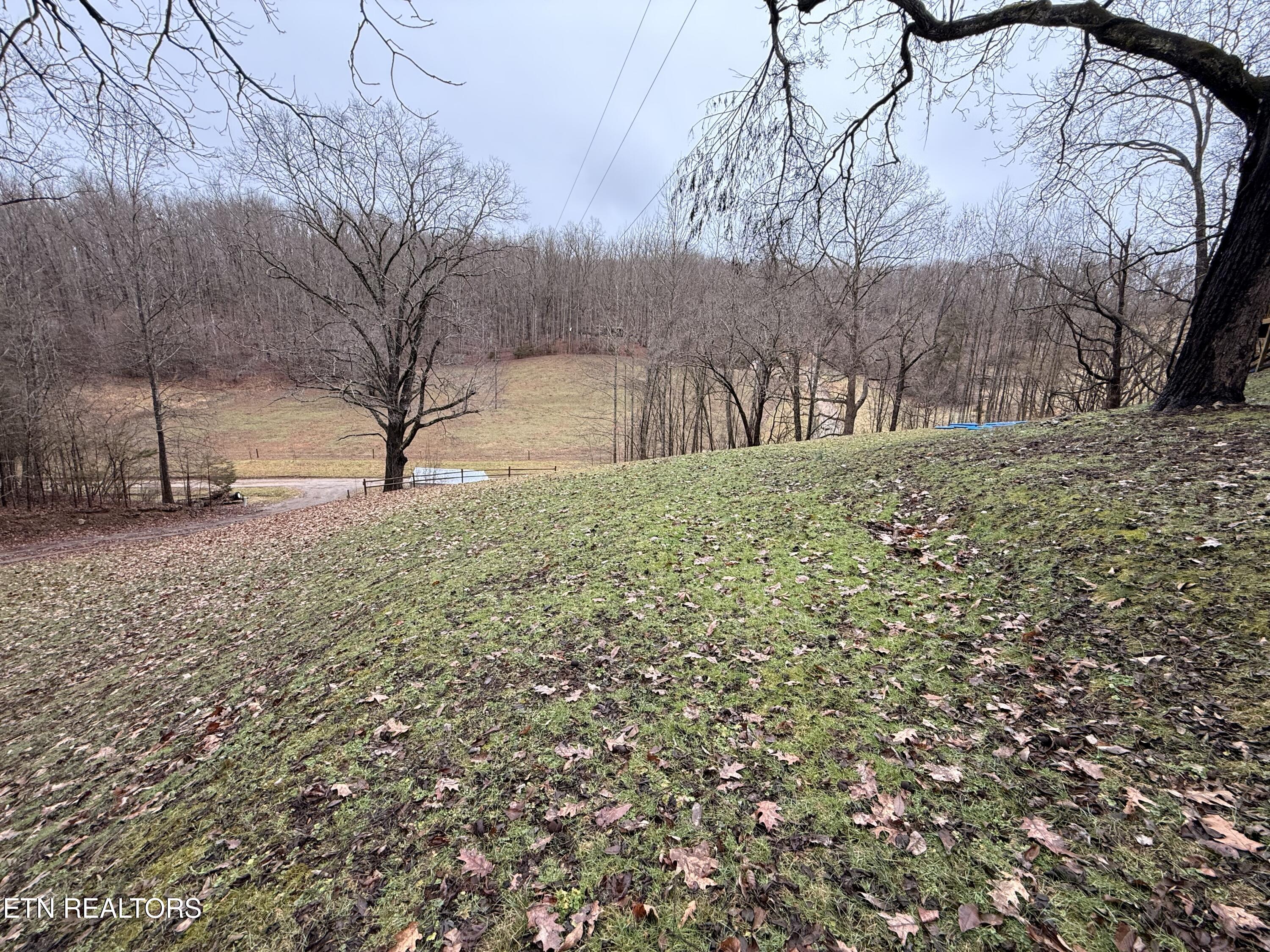 788 Dooley Hollow Road Ewing, VA 24248 - Photo 41 of 46 IMG_6414