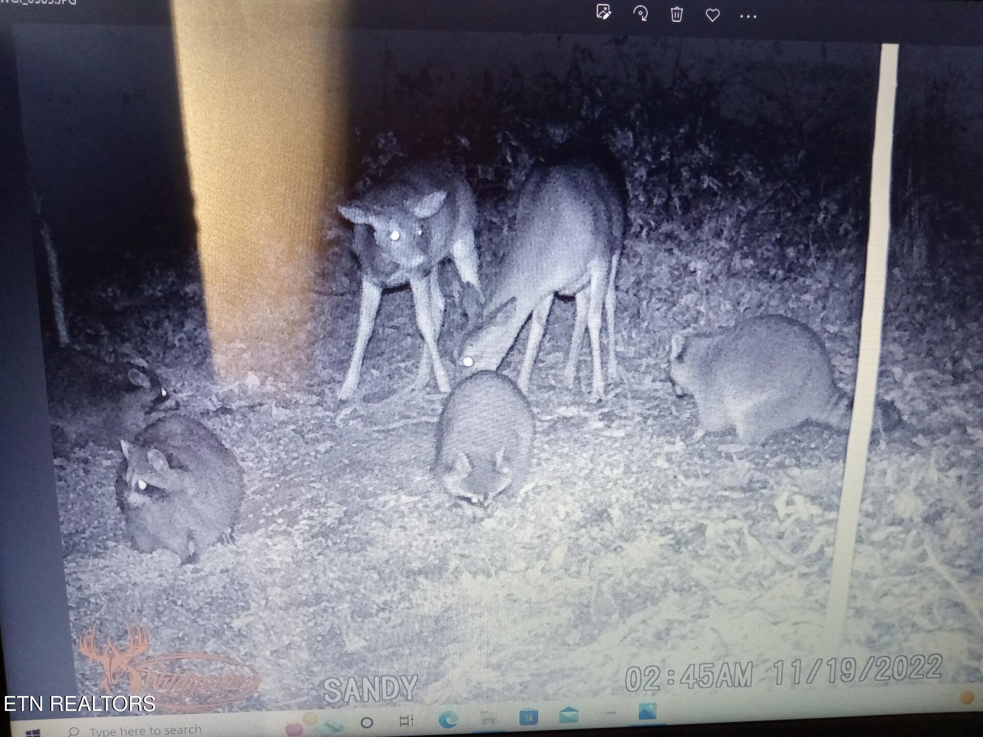 788 Dooley Hollow Road Ewing, VA 24248 - Photo 46 of 46 Attachment