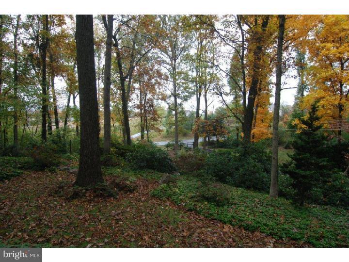 270 Beech Road Mohnton, PA 19540 - Photo 23 of 24 View from Front Door