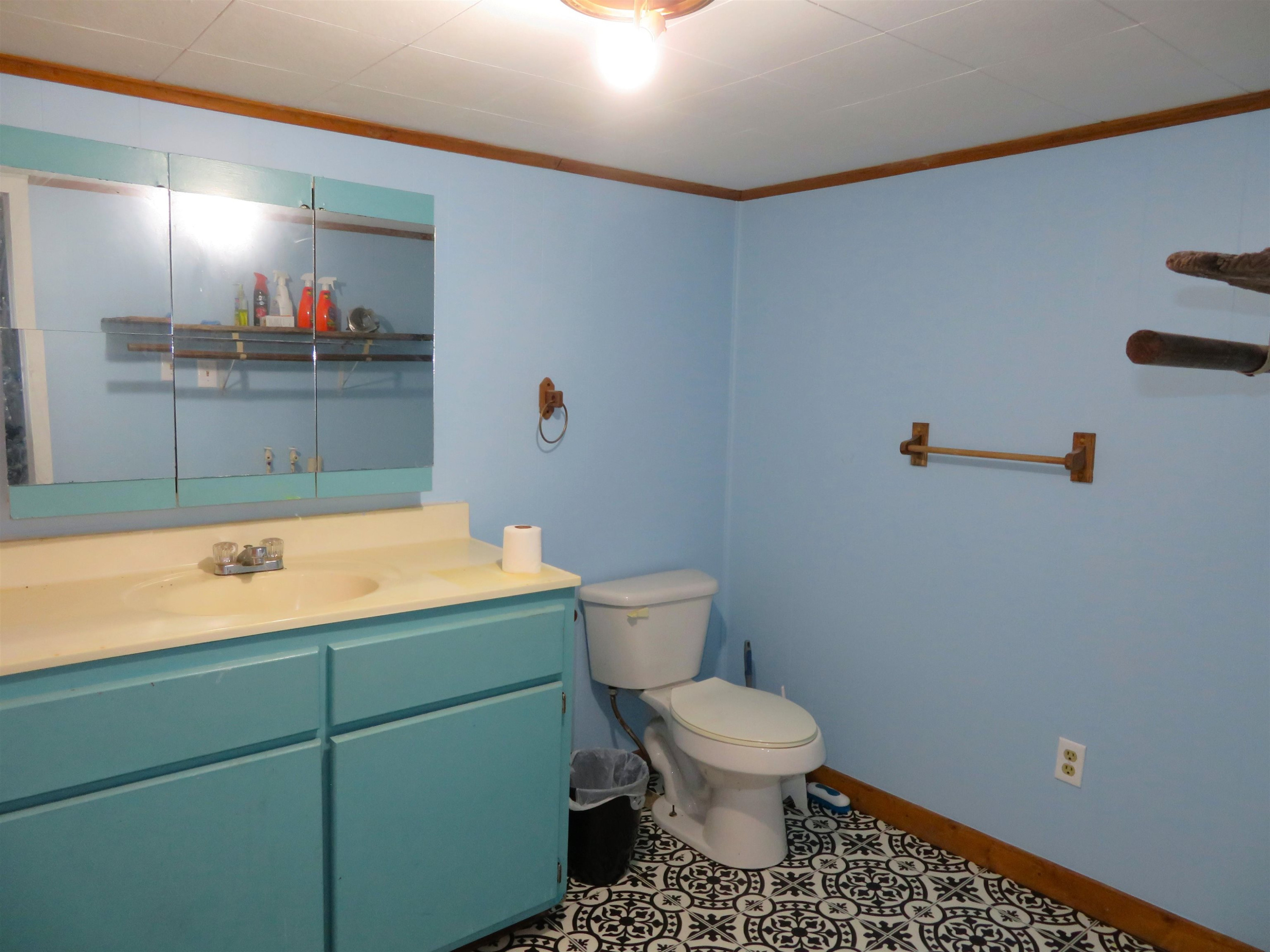 680 Old Lavinia Road Cedar Grove, TN 38321 - Photo 13 of 16 Photo 13