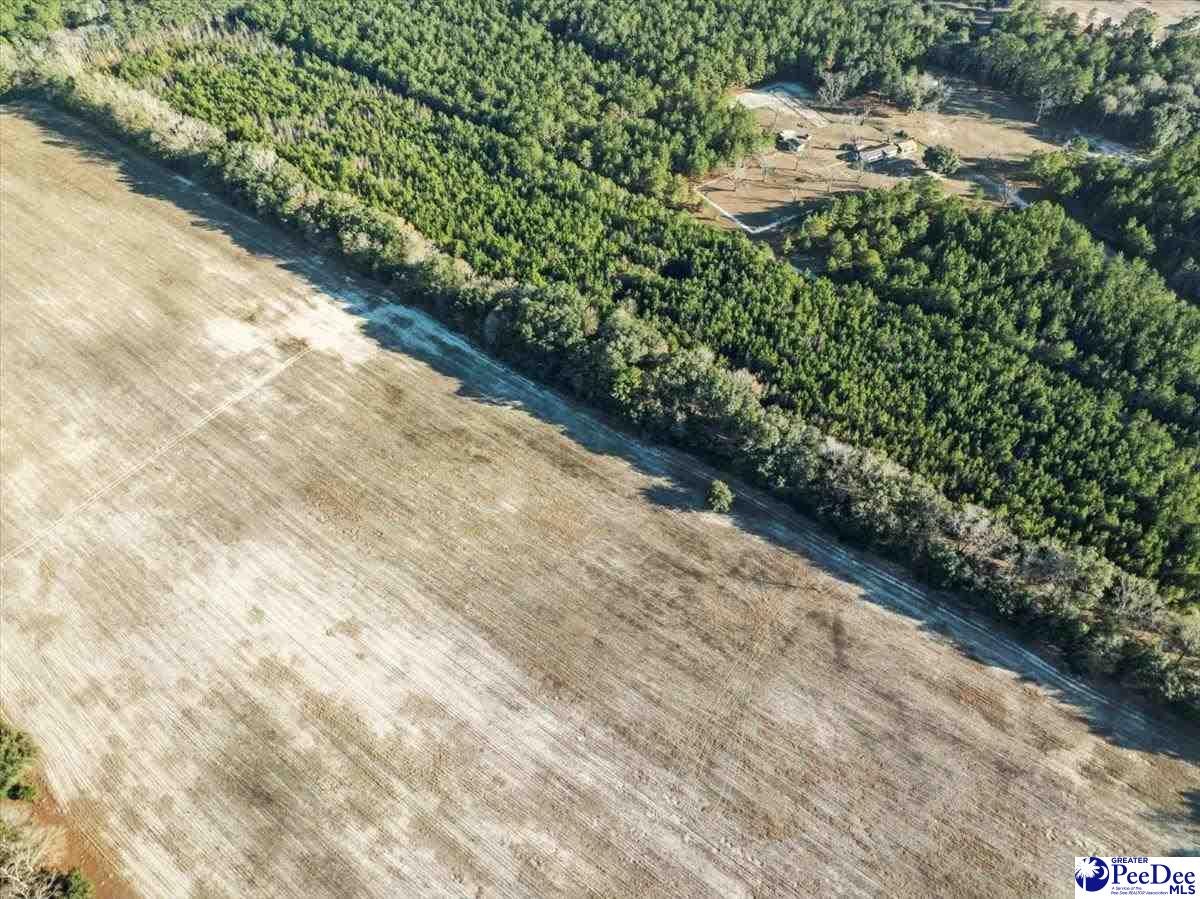 6 Off Flinn Road Manning, SC 29102 - Photo 5 of 17 Gallery Image 5