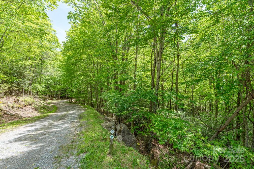 301 Jackpine Road Beech Mountain, NC 28604 - Photo 2 of 12 a big yard with lots of green space and trees