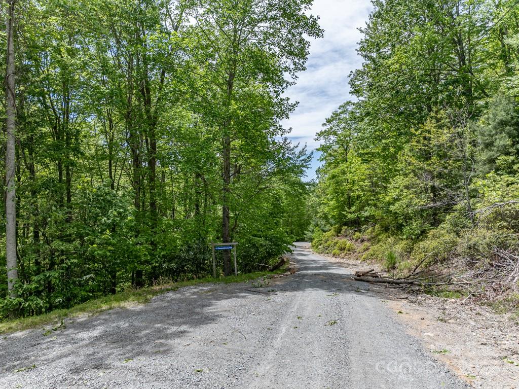 301 Jackpine Road Beech Mountain, NC 28604 - Photo 4 of 12 a view of a road with plants and trees in the background