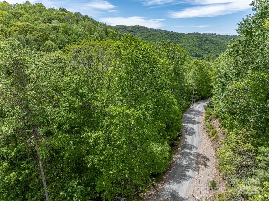 301 Jackpine Road Beech Mountain, NC 28604 - Photo 8 of 12 a view of a lush green forest with lots of trees