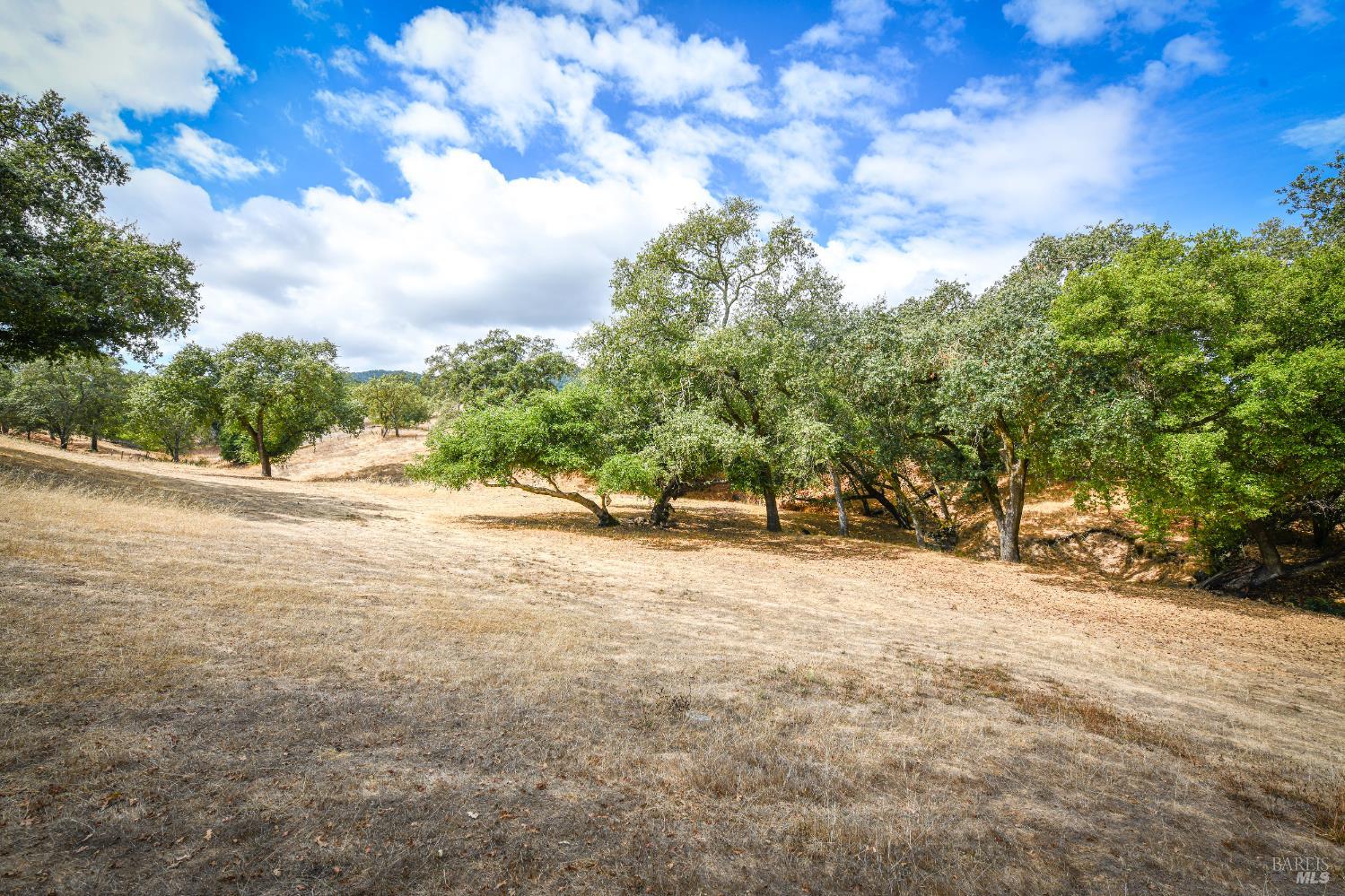 1219 Repetto Ranch Road Sonoma, CA 95476 - Photo 33 of 54
