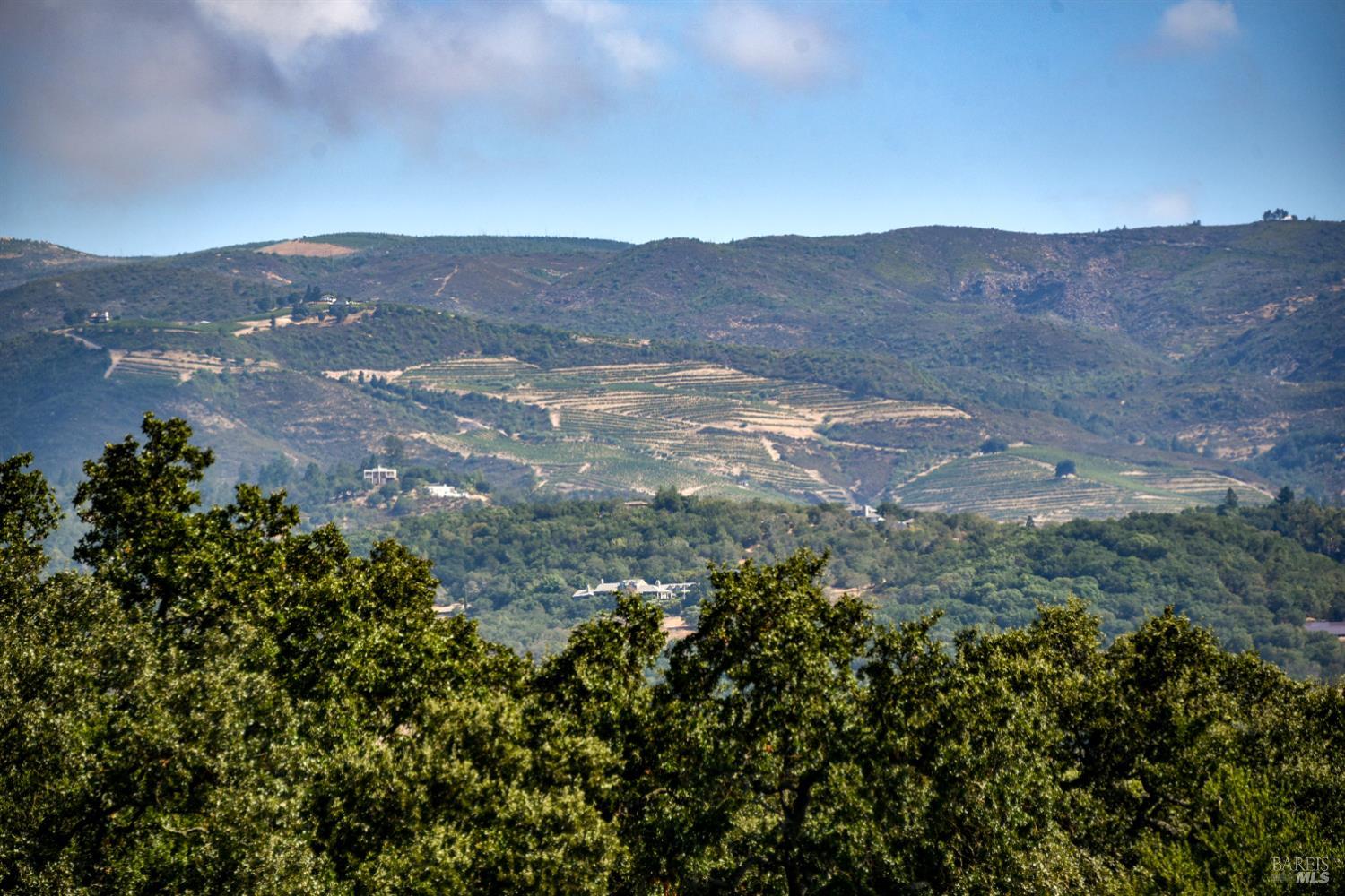 1219 Repetto Ranch Road Sonoma, CA 95476 - Photo 52 of 54 a view of a city