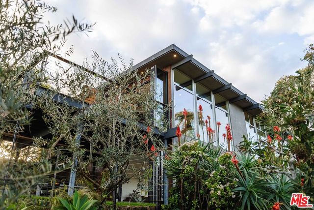 a view of a house with a tree and plants