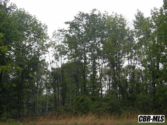 1040 Dale Ford Road Sunbury, OH 43074 - Photo 1 of 1