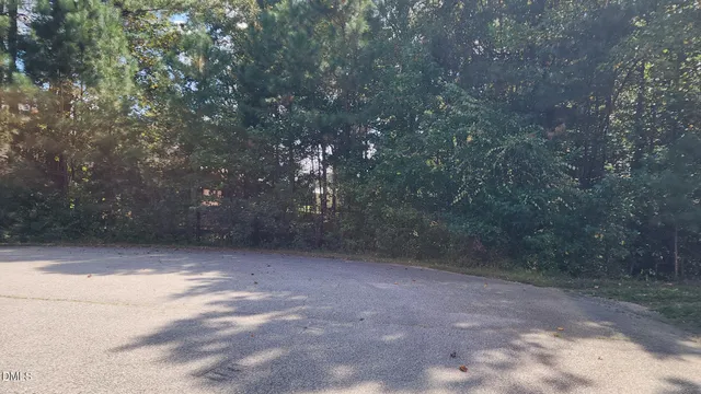 a view of a yard with large trees