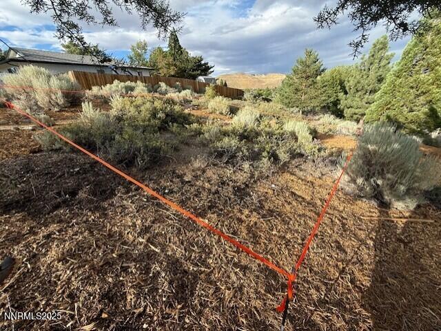 80 Bobcat Drive Reno, NV 89523 - Photo 40 of 48 thumbnail_IMG_1026