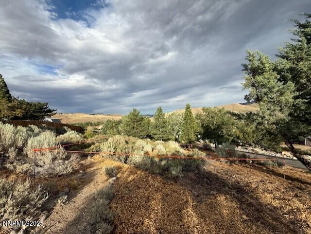 80 Bobcat Drive Reno, NV 89523 - Photo 41 of 48 thumbnail_IMG_1024