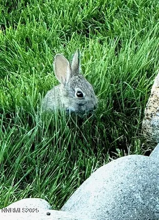 $675,000 | 80 Bobcat Drive, Reno, NV 89523