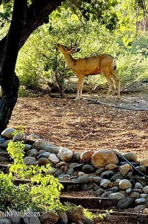 $675,000 | 80 Bobcat Drive, Reno, NV 89523