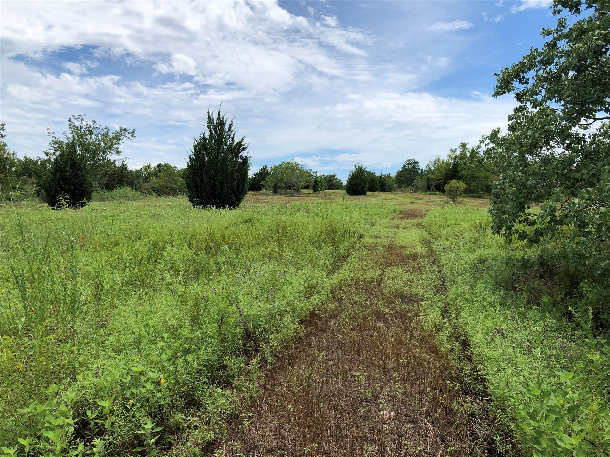 1 Steele Road Highlands, TX 77562 - Photo 25 of 35