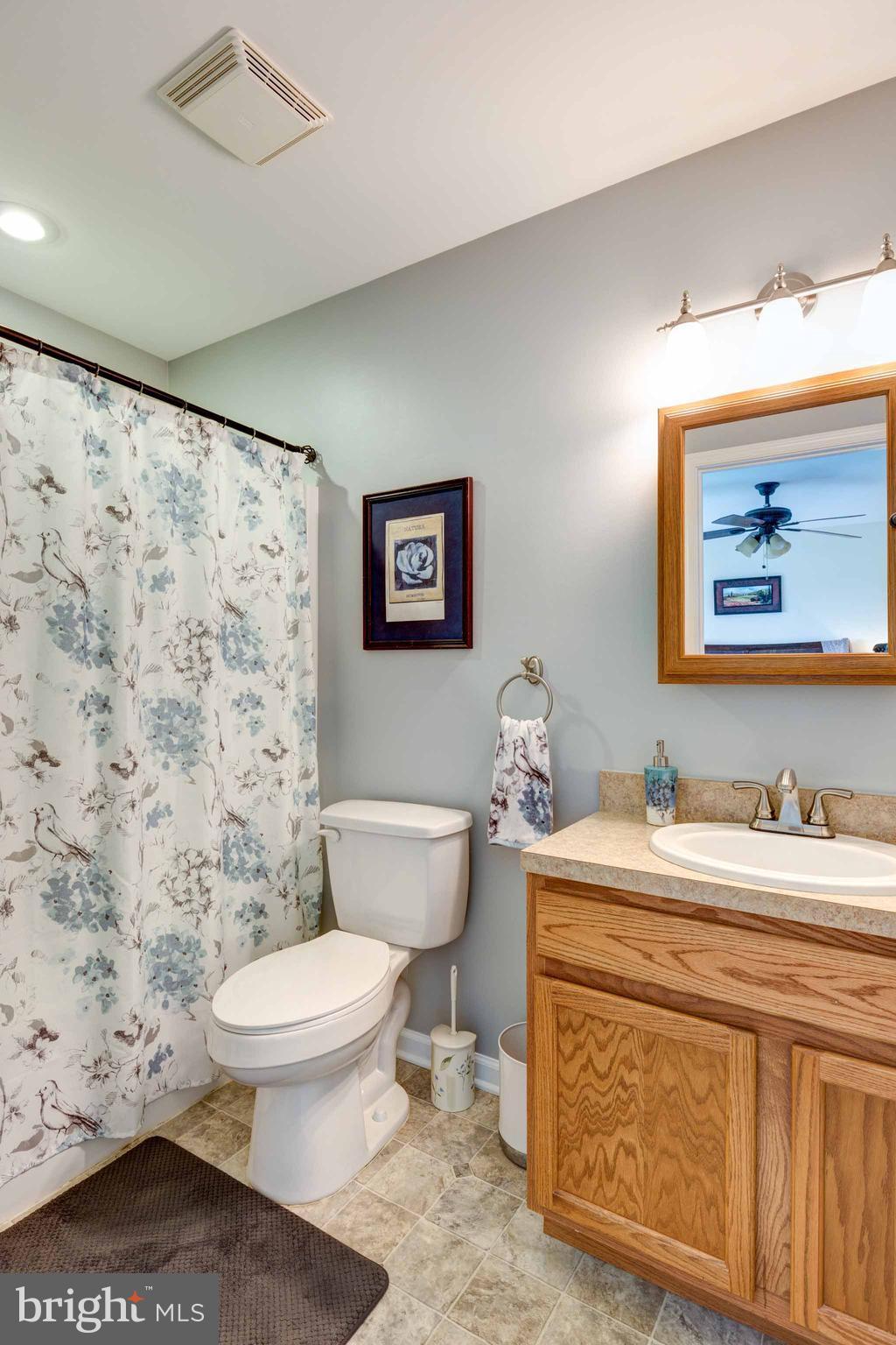 2209 Flag Marsh Road Mount Airy, MD 21771 - Photo 16 of 28 Master Bathroom with Tub & Shower