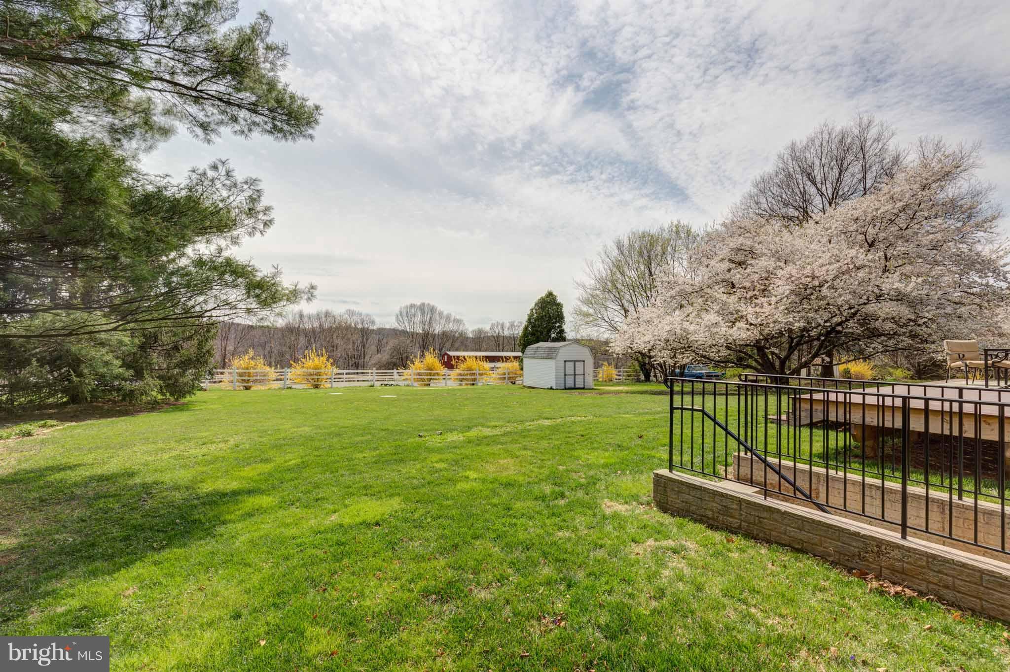 2209 Flag Marsh Road Mount Airy, MD 21771 - Photo 25 of 28 Nice Yard!