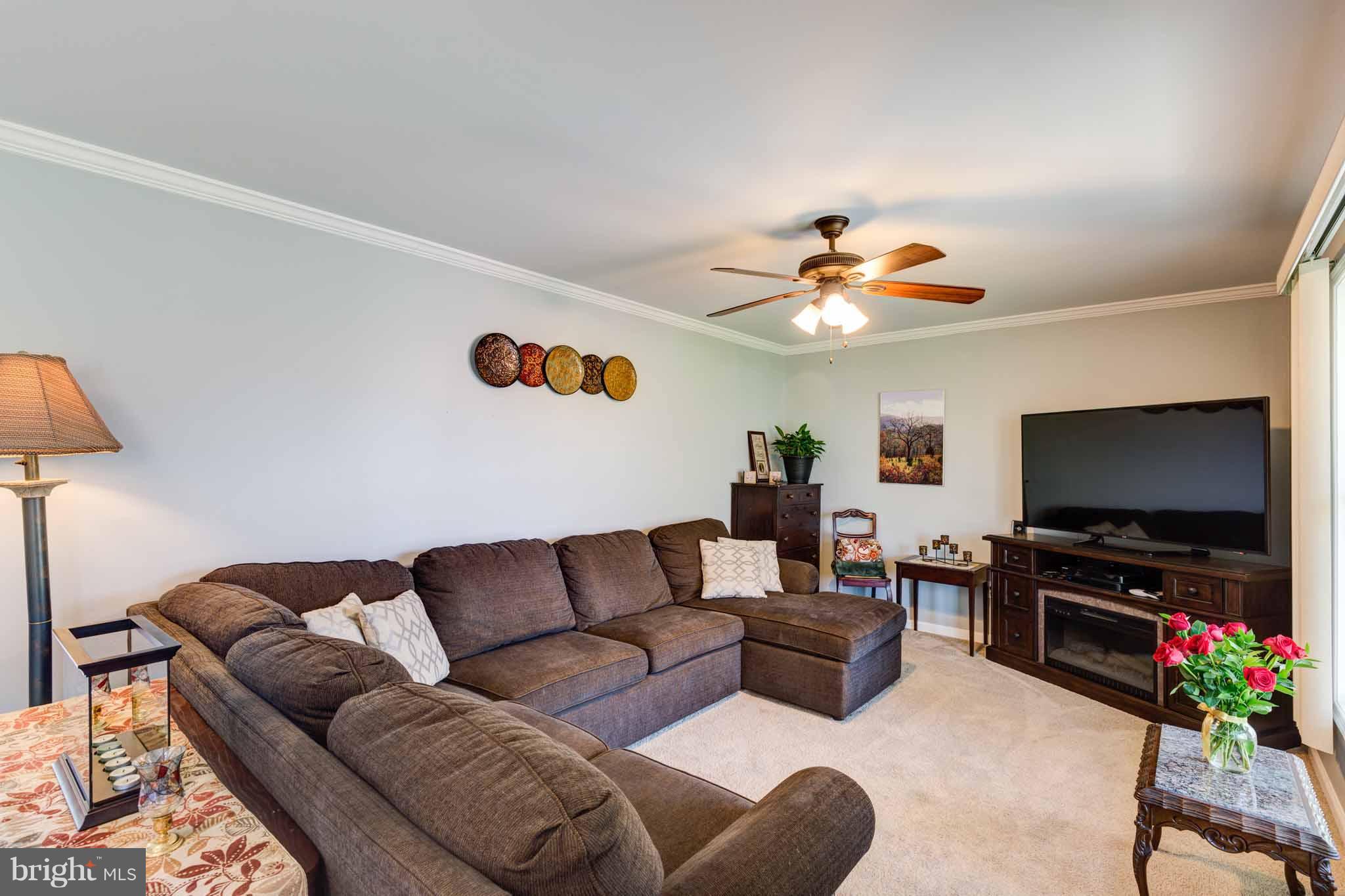 2209 Flag Marsh Road Mount Airy, MD 21771 - Photo 6 of 28 Cozy Family Room