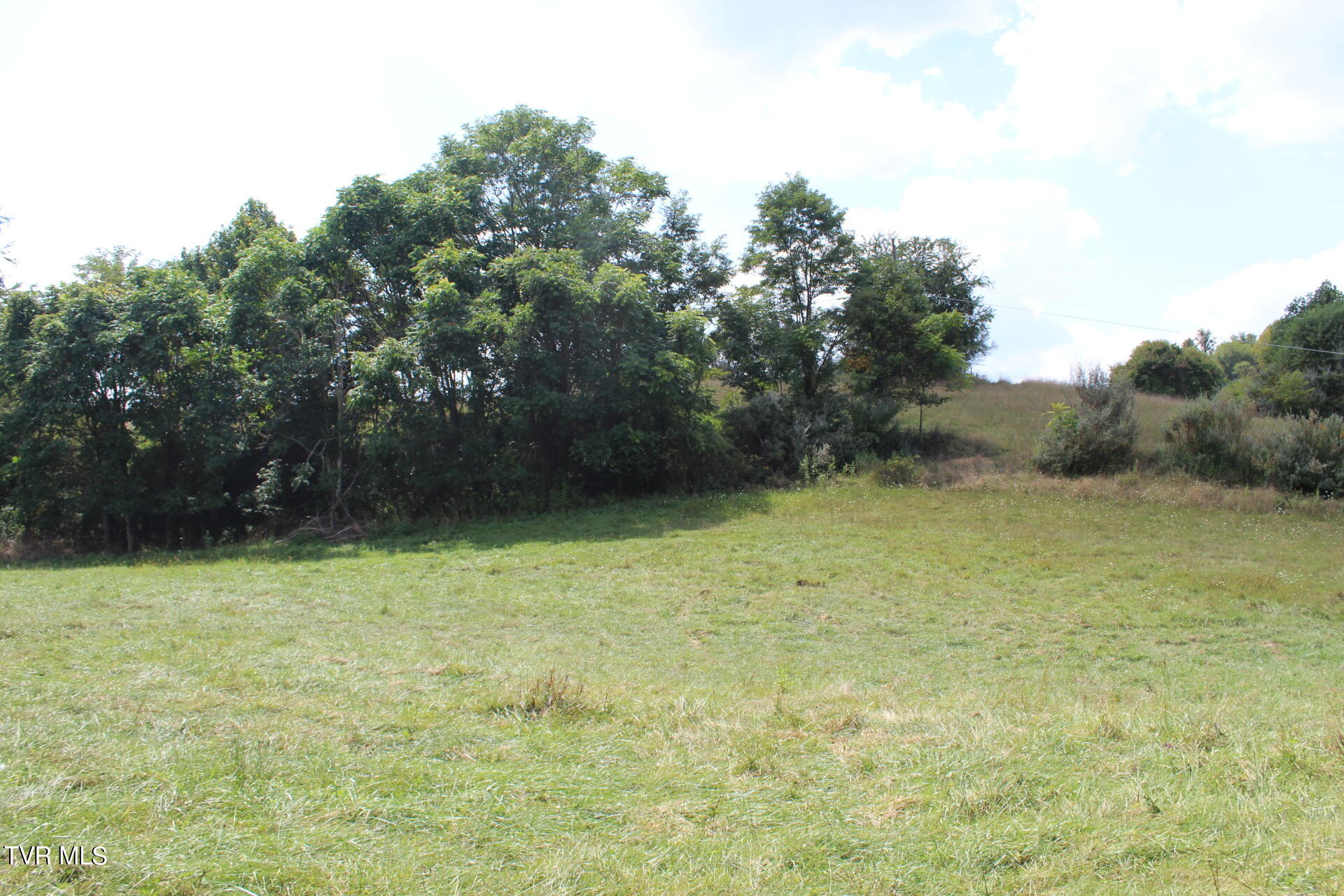 Tbd Chestnut Ridge Road Chilhowie, VA 24319 - Photo 24 of 36 IMG_2287