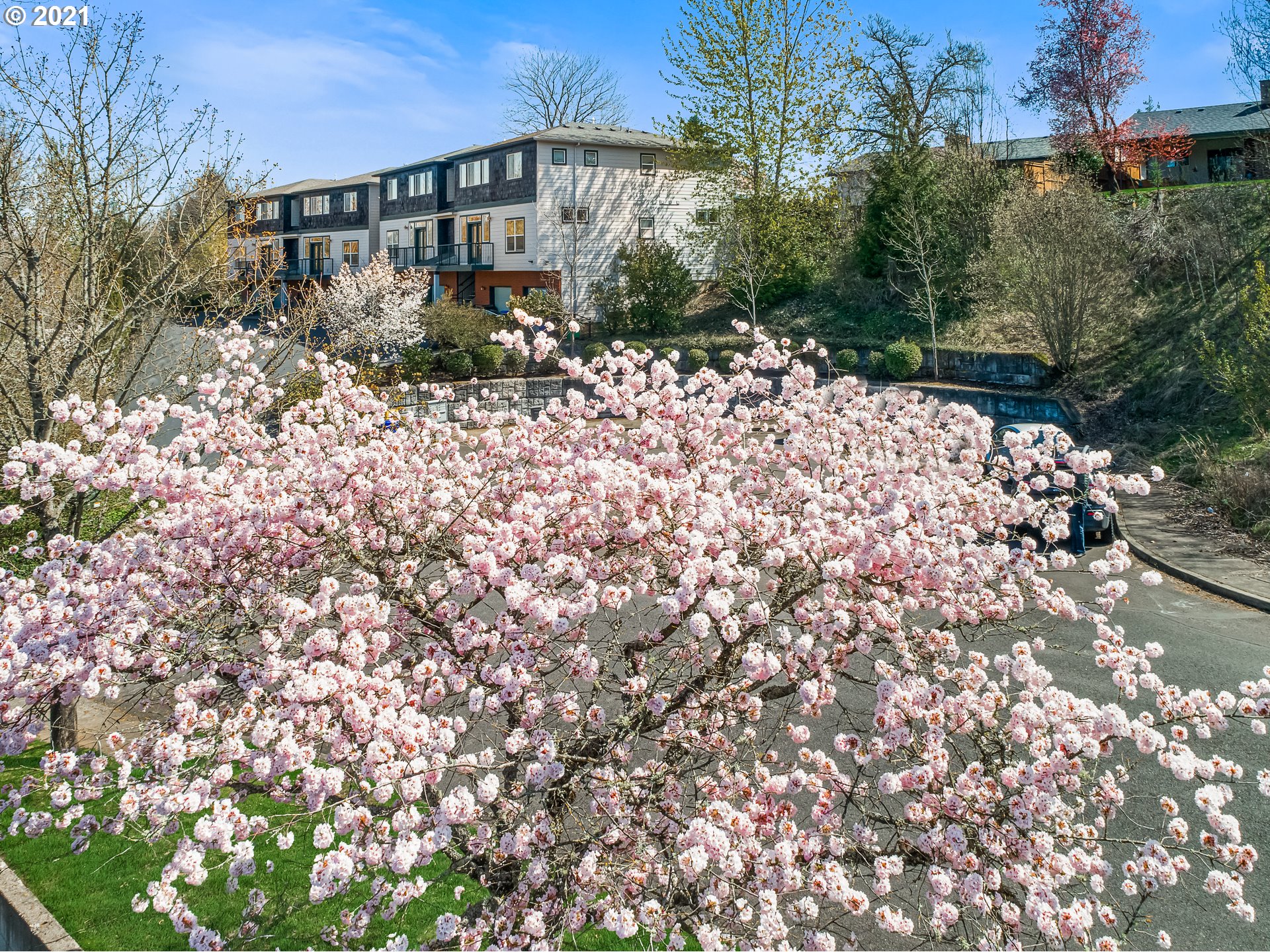 9752 Southwest 34th Place, Unit 3 Portland, OR 97219 - Photo 28 of 32 Gallery Image 28