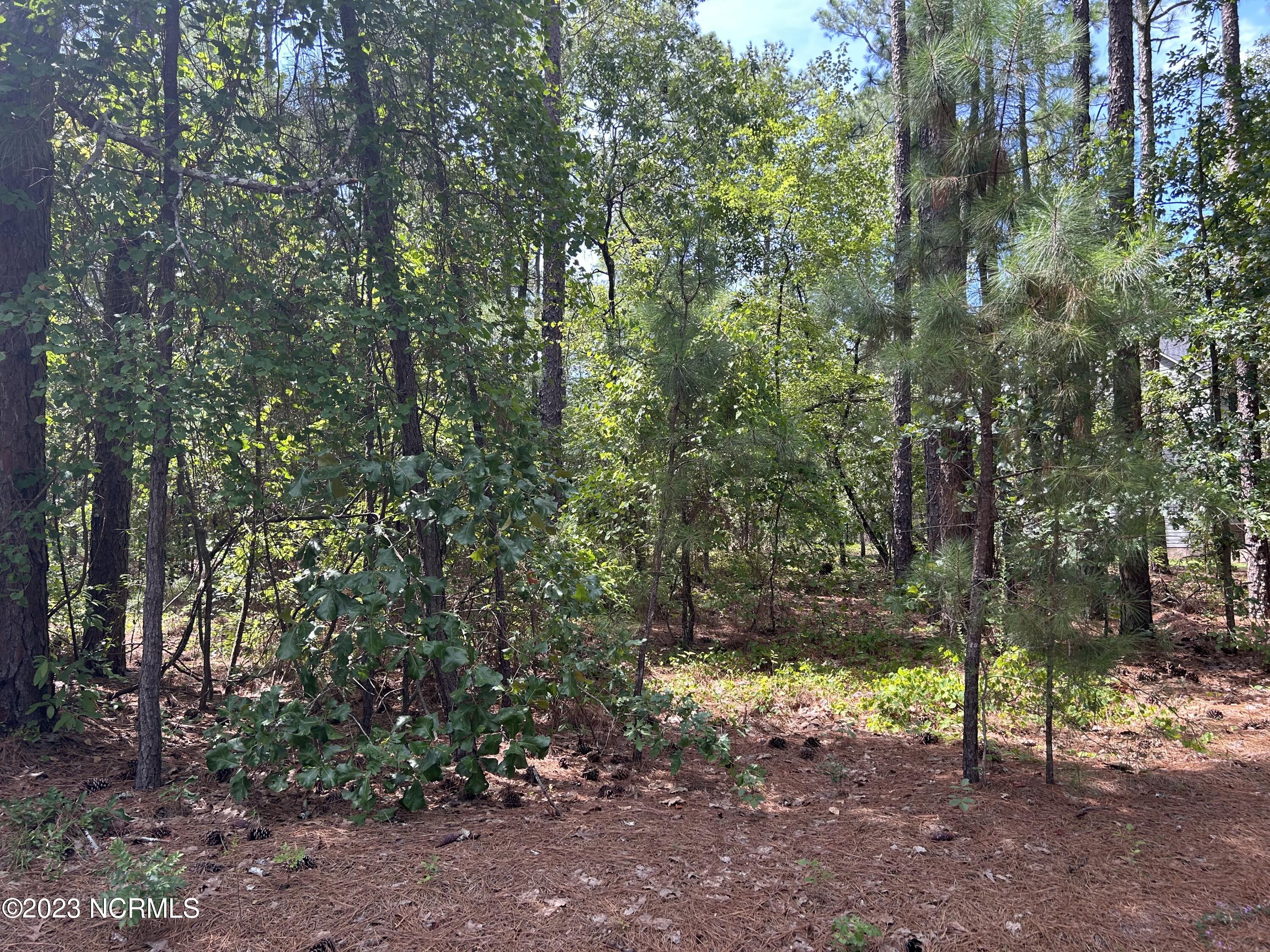 24 Deercroft Drive Wagram, NC 28396 - Photo 2 of 8 IMG_1921