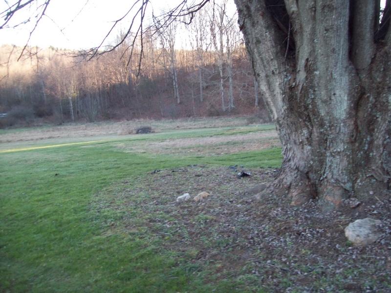 1142 Canning Factory Road Southwest Floyd, VA 24091 - Photo 15 of 17 a view of backyard with green space