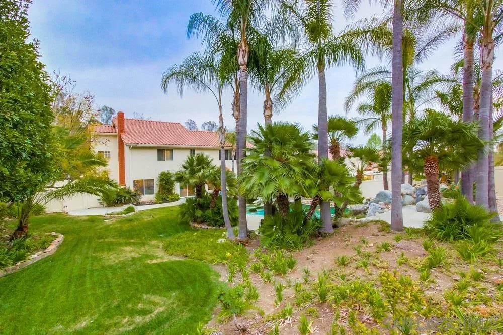 13952 Carriage Road Poway, CA 92064 - Photo 45 of 49 a view of a yard with a palm tree