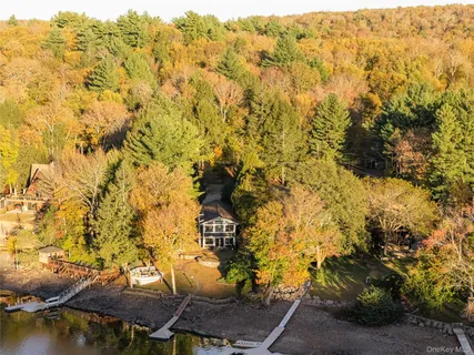 a picture of flowers