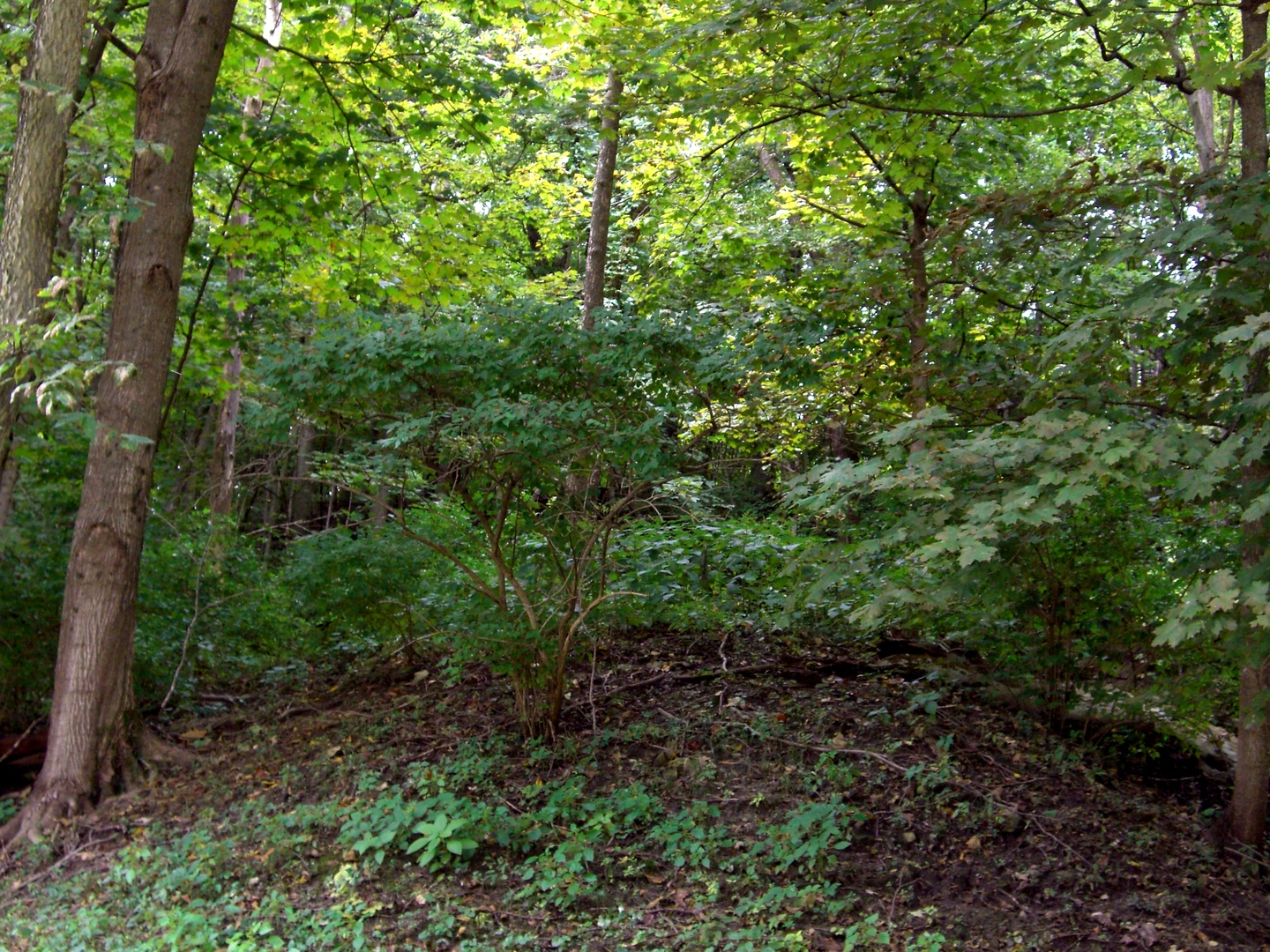 2440 North 4009th Road Serena, IL 60549 - Photo 3 of 10 Gallery Image 3
