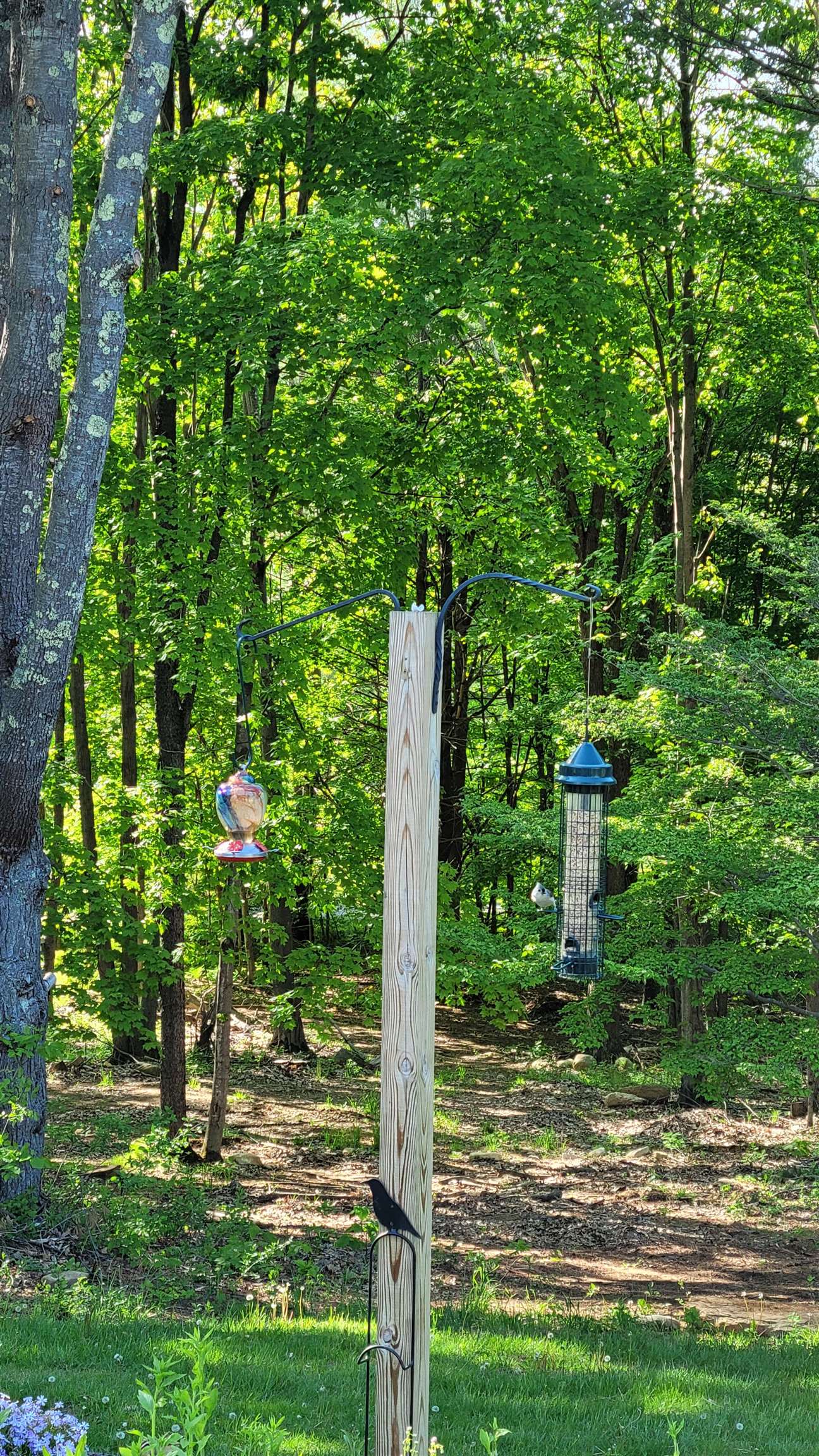 67 Coventry Lane Manchester, VT 05255 - Photo 34 of 40 Gallery Image 34